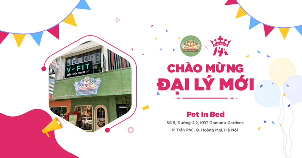 Chào mừng Đại lý mới - Pet In Bed