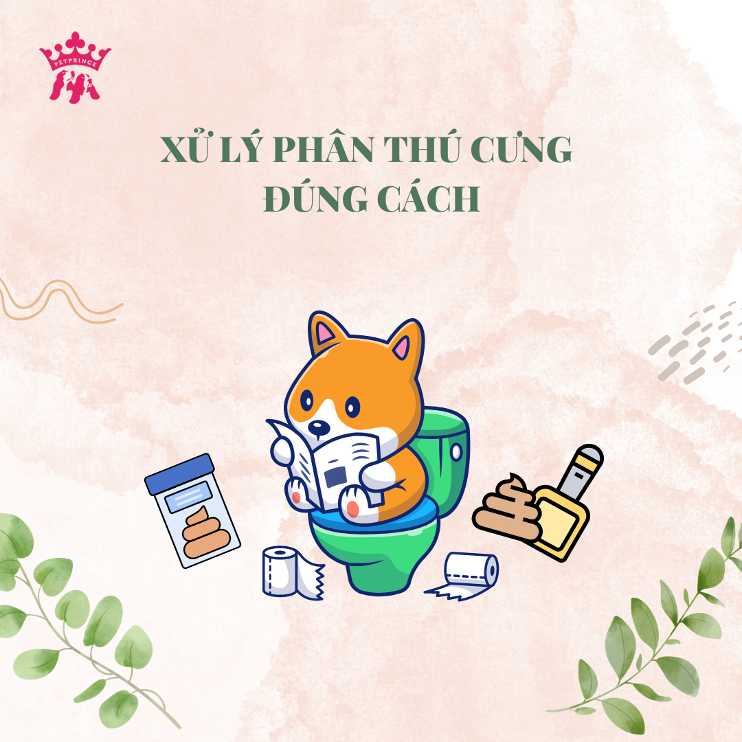 Cùng boss bảo vệ hành tinh xanh