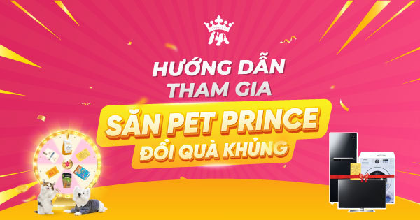 Hướng dẫn tham gia Săn Pet Prince
