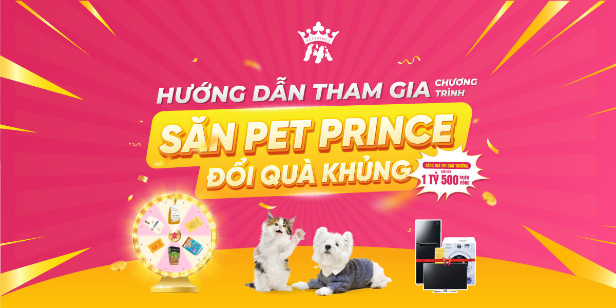 Hướng dẫm tham gia Săn Pet Prince