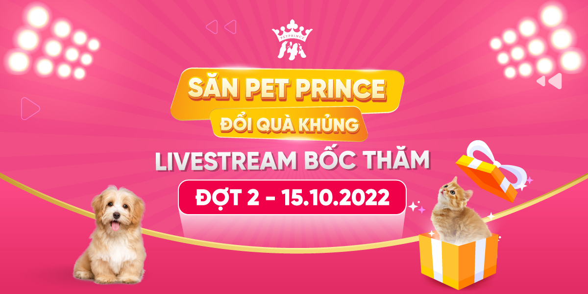 LIVESTREAM BỐC THĂM “SĂN PET PRINCE - ĐỔI QUÀ KHỦNG” ĐỢT 2: 15/10/2022