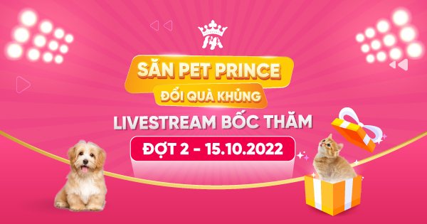 LIVESTREAM BỐC THĂM “SĂN PET PRINCE - ĐỔI QUÀ KHỦNG” ĐỢT 2: 15/10/2022