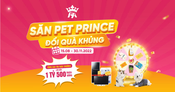 CHÍNH THỨC DIỄN RA "SĂN PET PRINCE ĐỔI QUÀ KHỦNG"