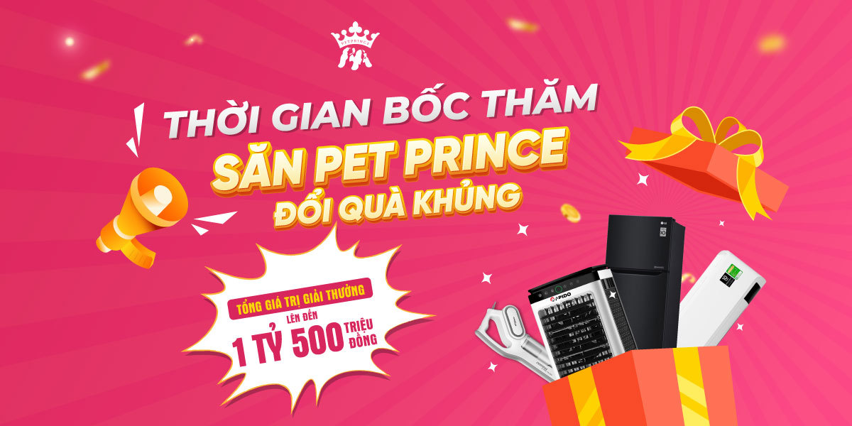 Thời gian Săn Pet Prince Đợt 1