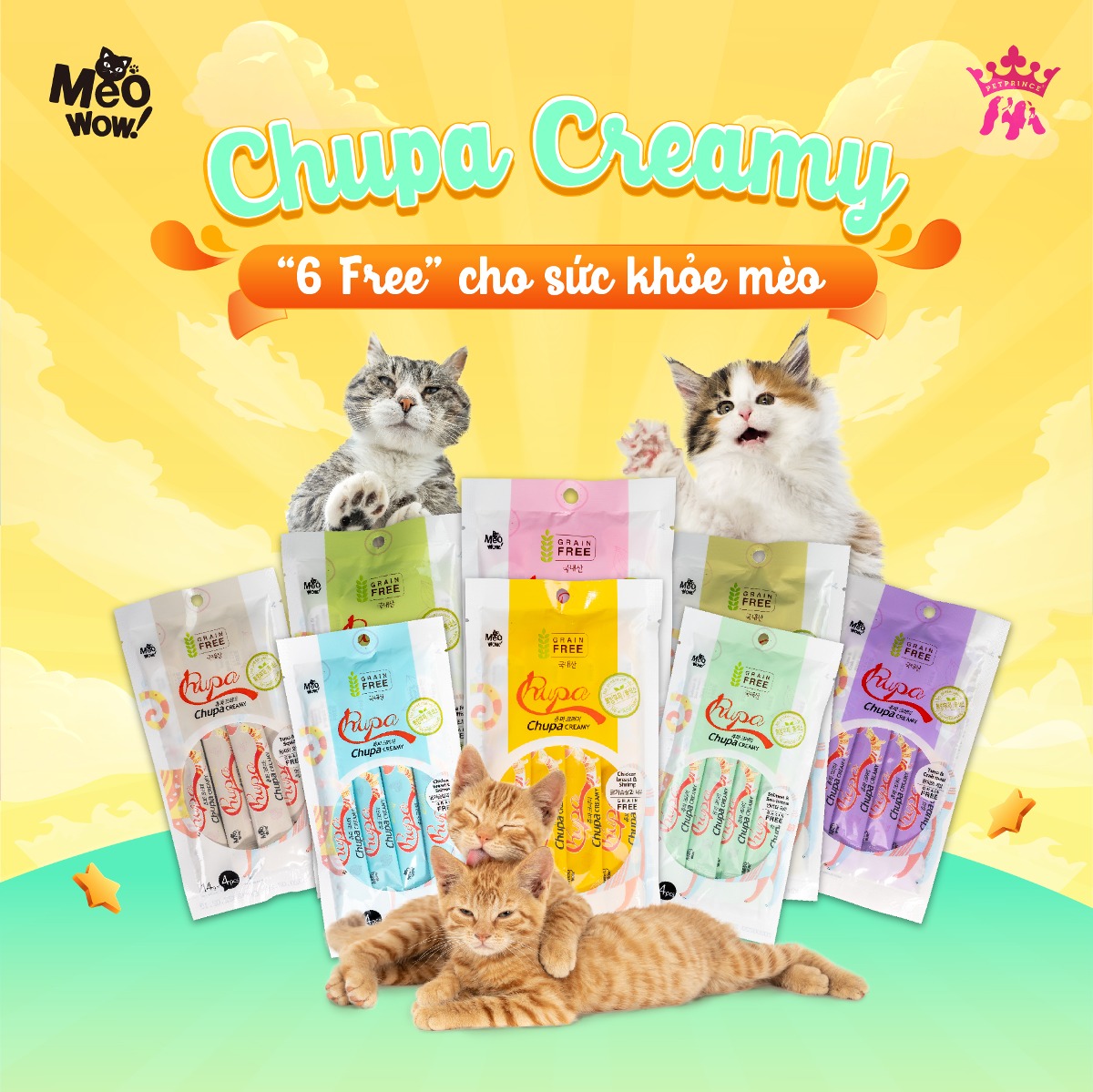 Pet Prince - Bệnh Care ở mèo