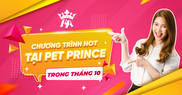 Chương trình Hot tại Pet Prince