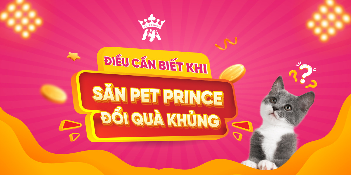 ĐIỀU CẦN BIẾT KHI "SĂN PET PRINCE - ĐỔI QUÀ KHỦNG"