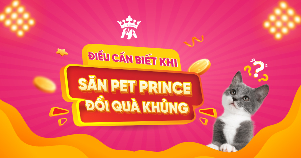 ĐIỀU CẦN BIẾT KHI "SĂN PET PRINCE - ĐỔI QUÀ KHỦNG"