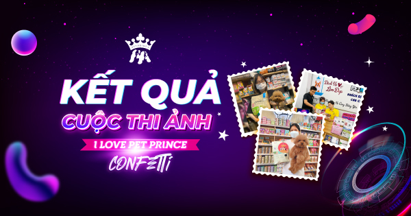 Kết quả I Love Pet Prince Confetti