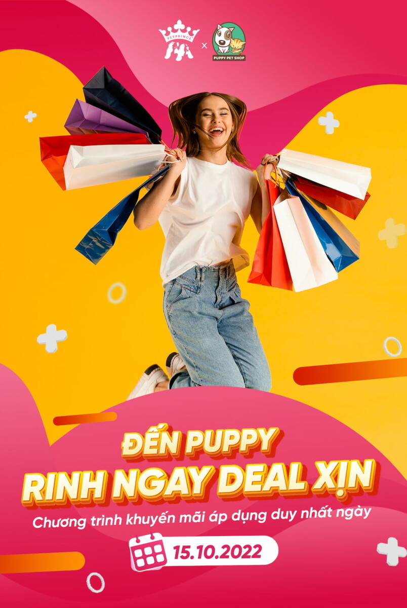 Săn Pet Prince x Puppy Pet Shop