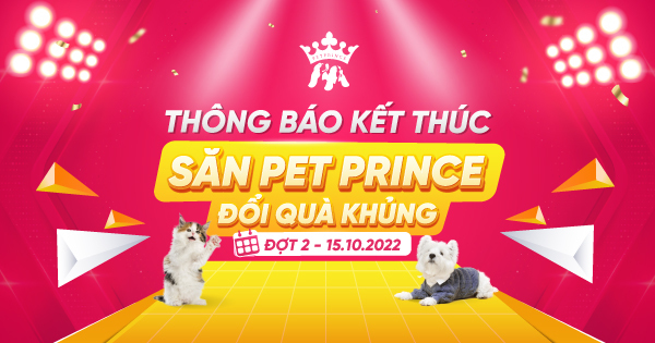 Thông báo kết thúc Săn Pet Prince đợt 2