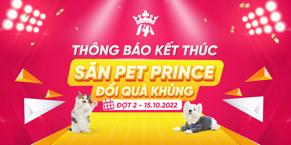 Thông báo kết thúc Săn Pet Prince đợt 2