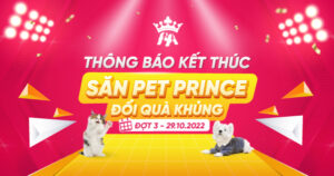 Thông báo kết thúc Săn Pet Prince - Đổi Quà Khủng Đợt 3