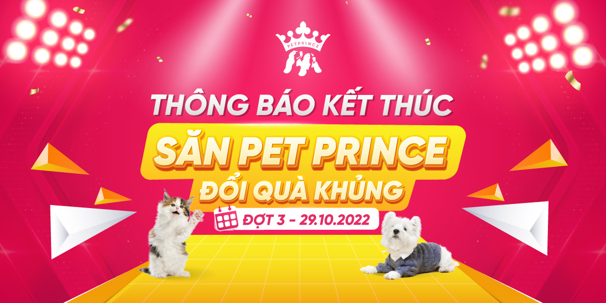Thông báo kết thúc Săn Pet Prince - Đổi Quà Khủng Đợt 3