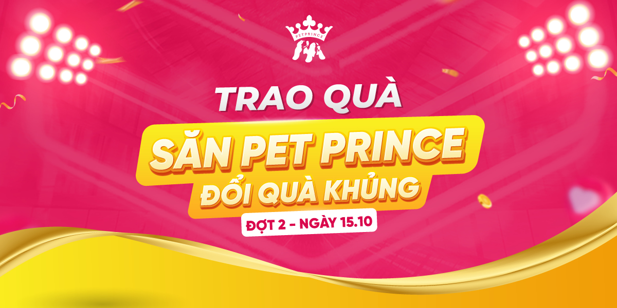 Trao quà Săn Pet Prince - Đổi Quà Khủng Đợt 1