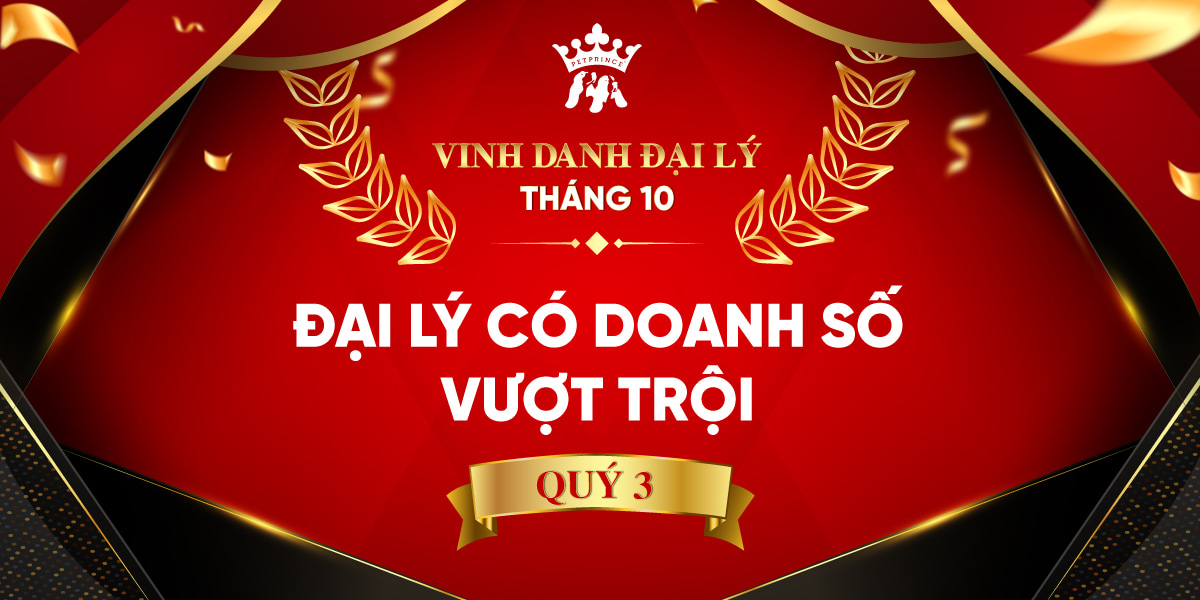 Vinh danh Đại lý Tháng 10
