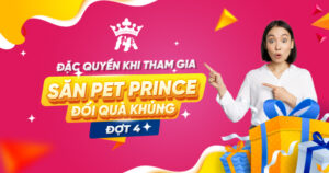 Đặc quyền “Săn Pet Prince - Đổi Quà Khủng” Đợt 4