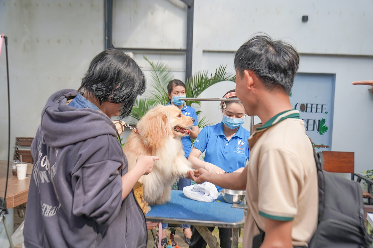 Nhìn lại Săn Pet Prince Đổi Quà Khủng Đợt 4