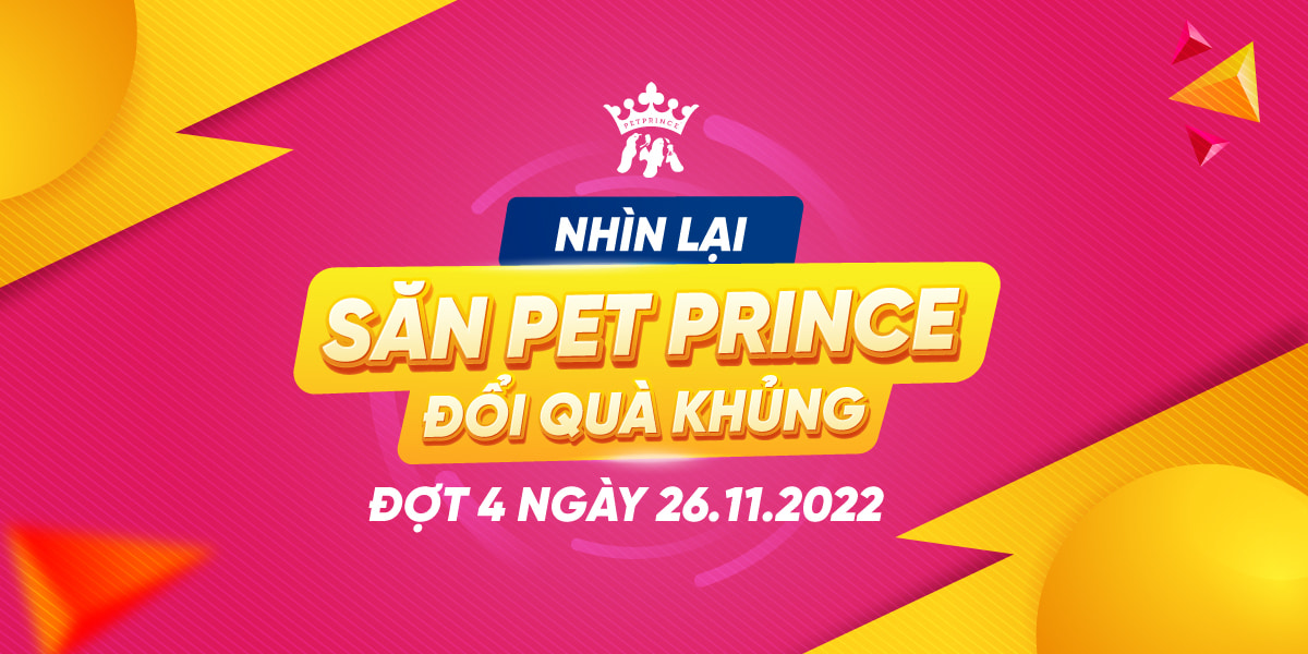 Nhìn lại Săn Pet Prince Đổi Quà Khủng Đợt 4