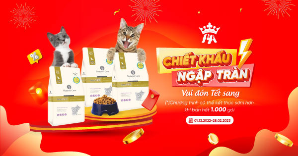 Chiết khấu ngập tràn