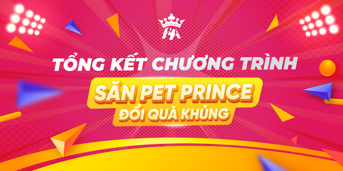 Tổng kết Săn Pet Prince