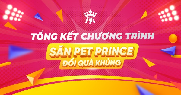 Tổng kết Săn Pet Prince