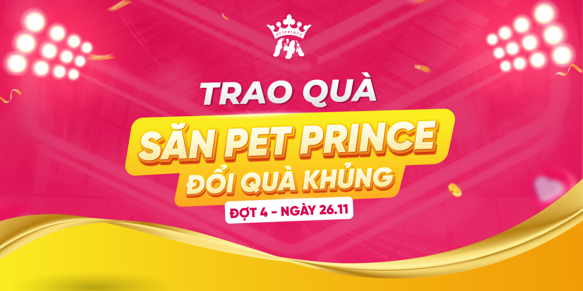 Trao quà Săn Pet Prince đợt 4