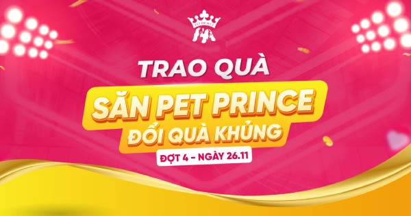 Trao quà Săn Pet Prince đợt 4