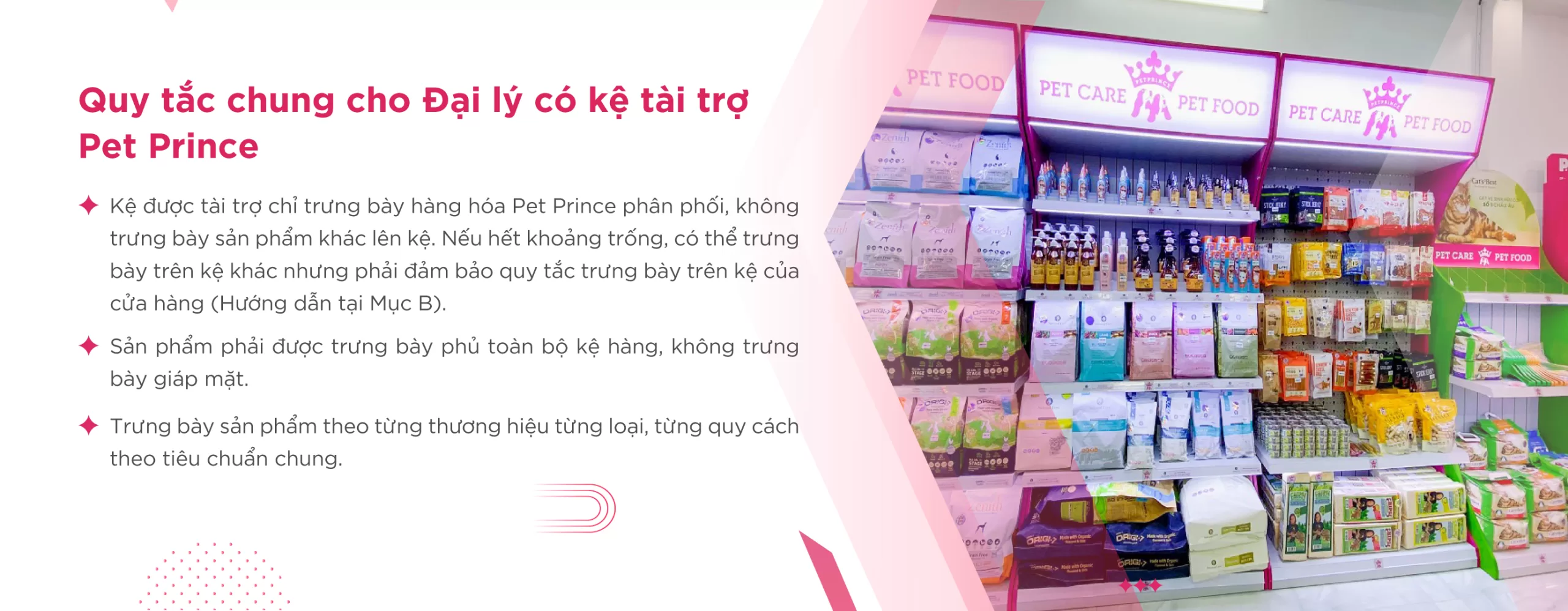 Slide-19