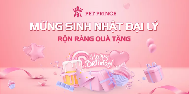 sinh nhat dai ly ron rang qua tang cung Pet Prince